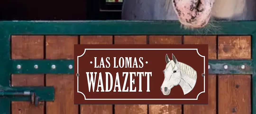 Cartel