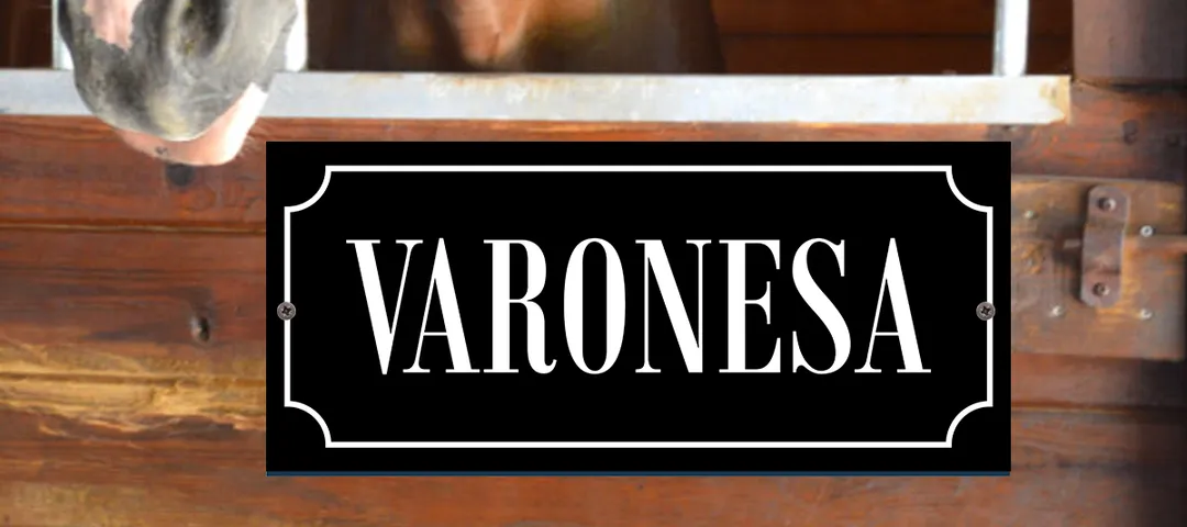 Cartel