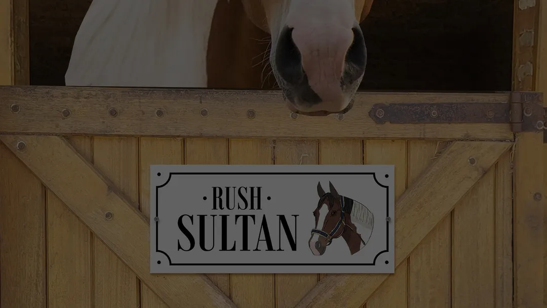 Imagen de caballos y productos de Horsestyle