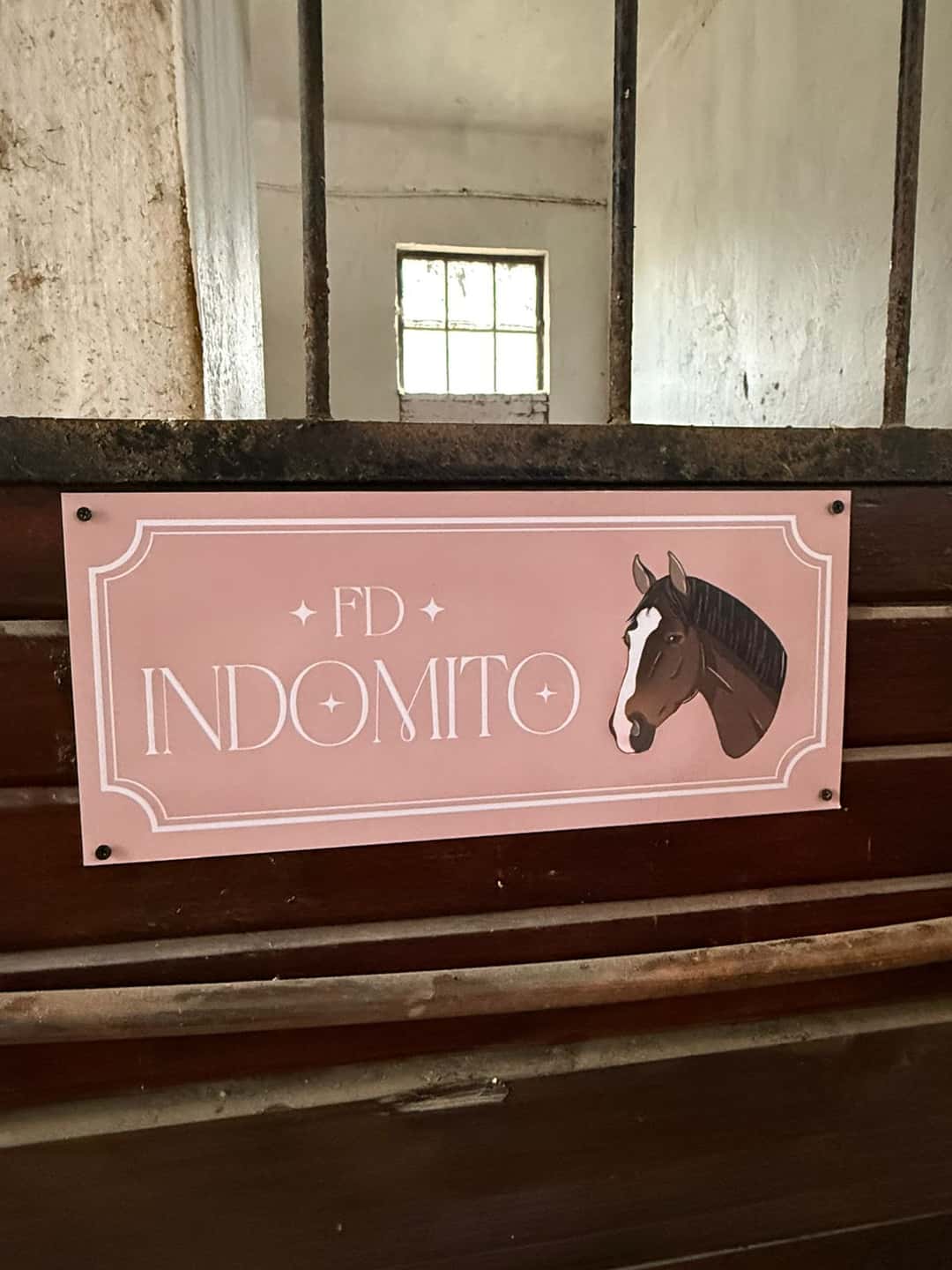 Carteles para box - imagen 12