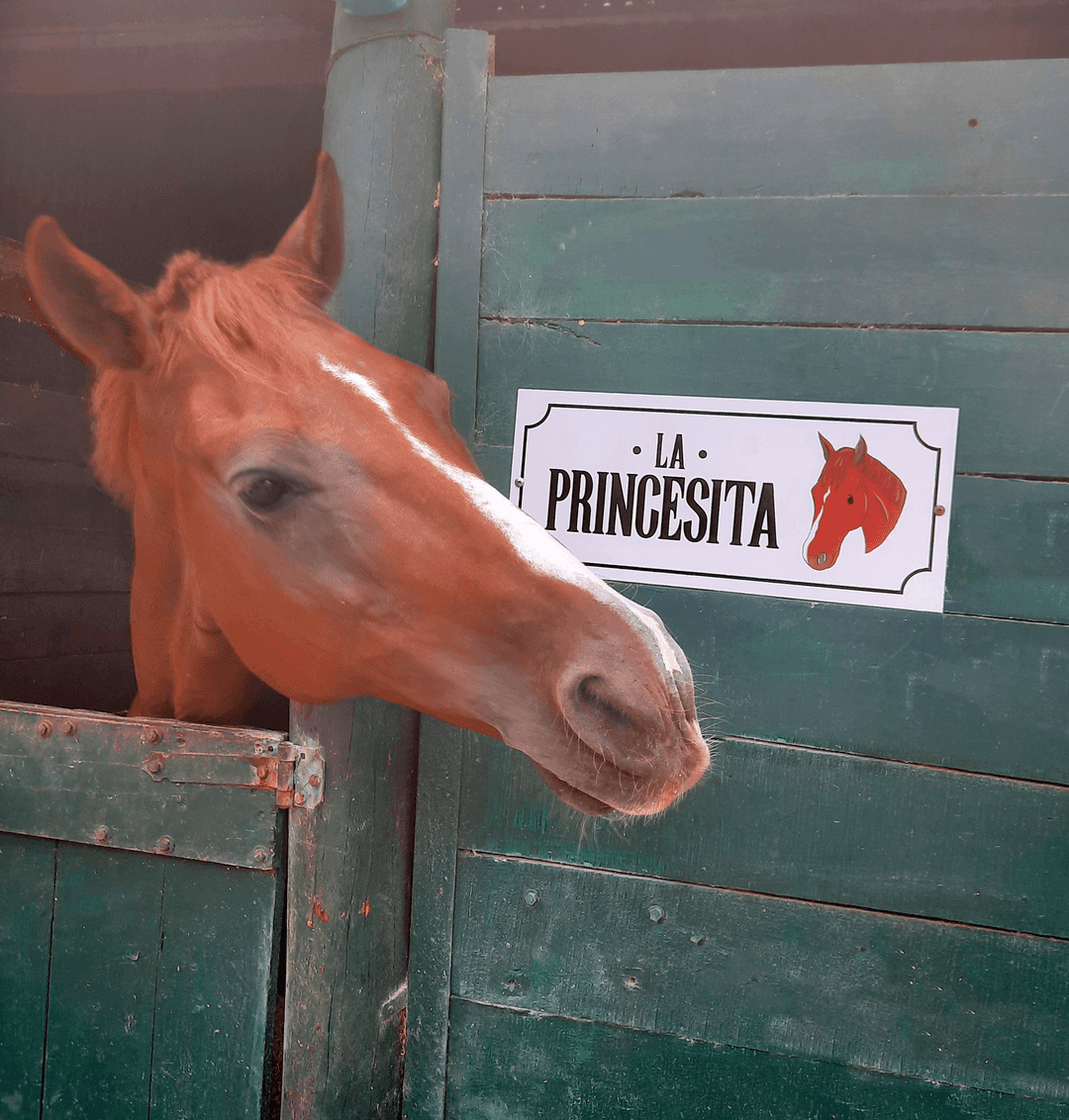 Carteles para box - imagen 62