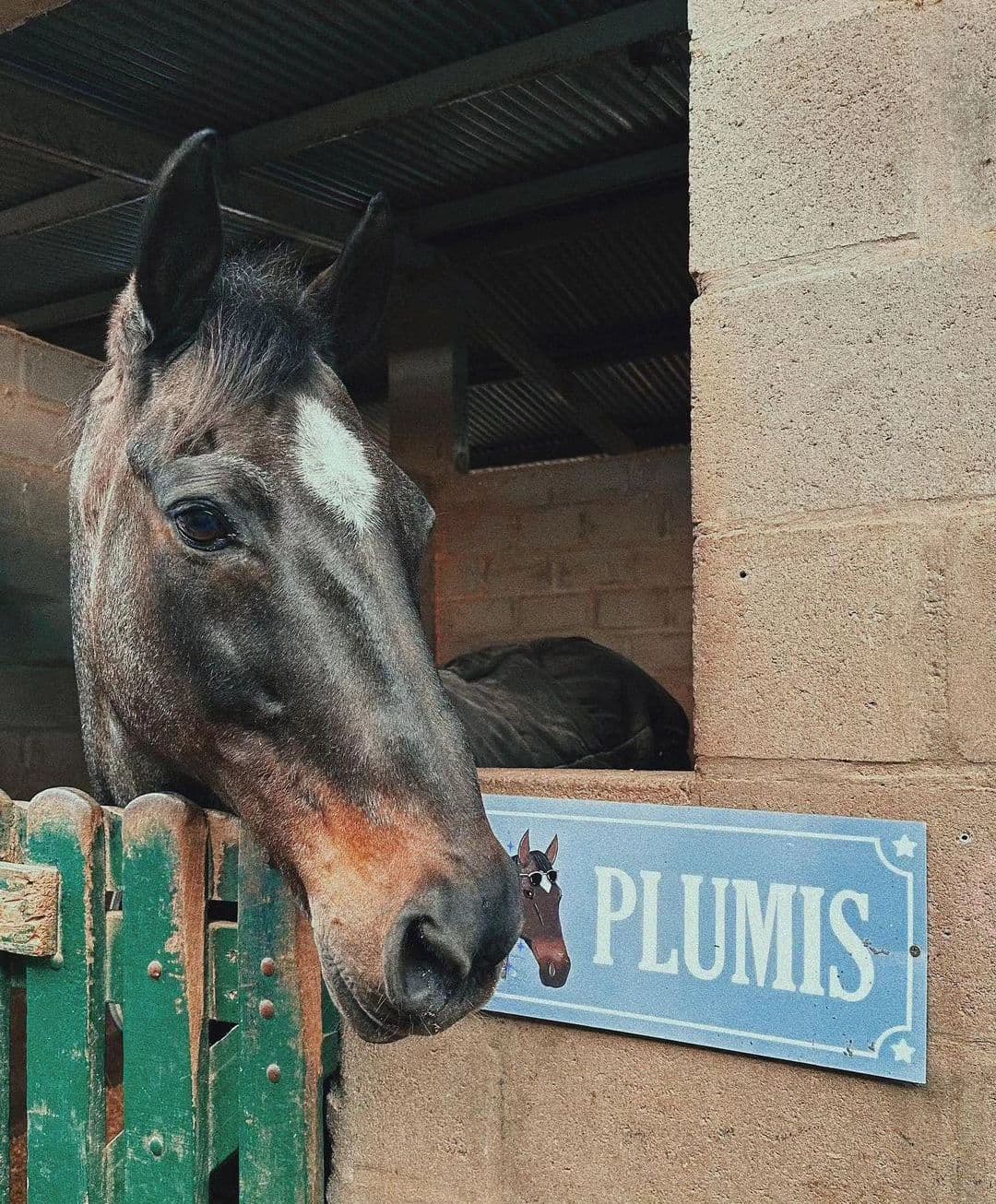 Carteles para box - imagen 19