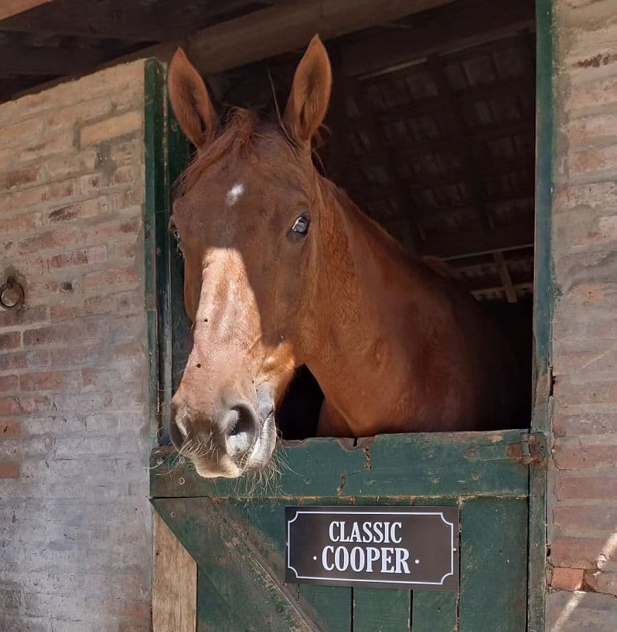 Carteles para box - imagen 24