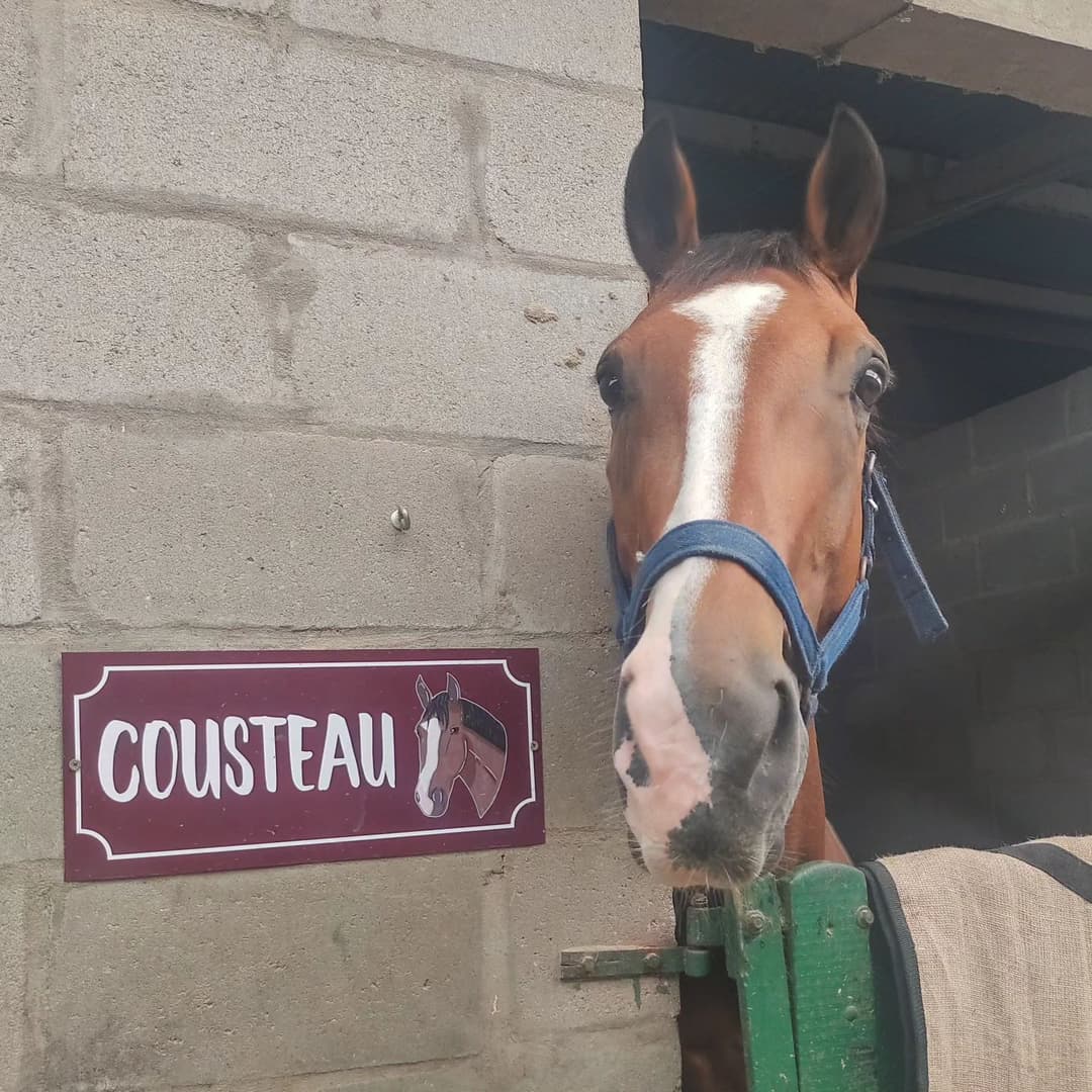 Carteles para box - imagen 29