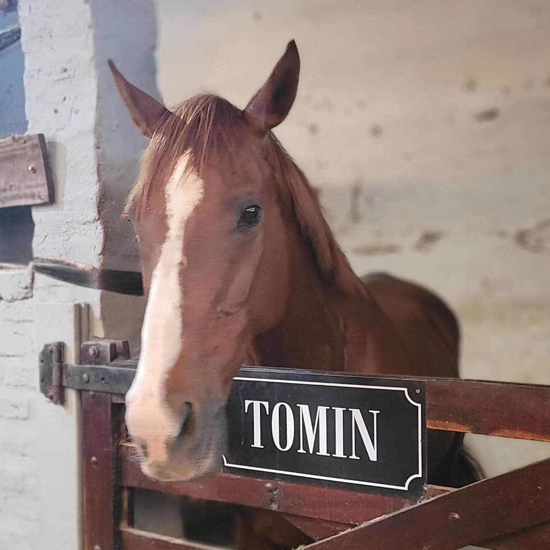 Carteles para box - imagen 27