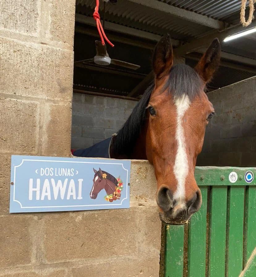 Carteles para box - imagen 11