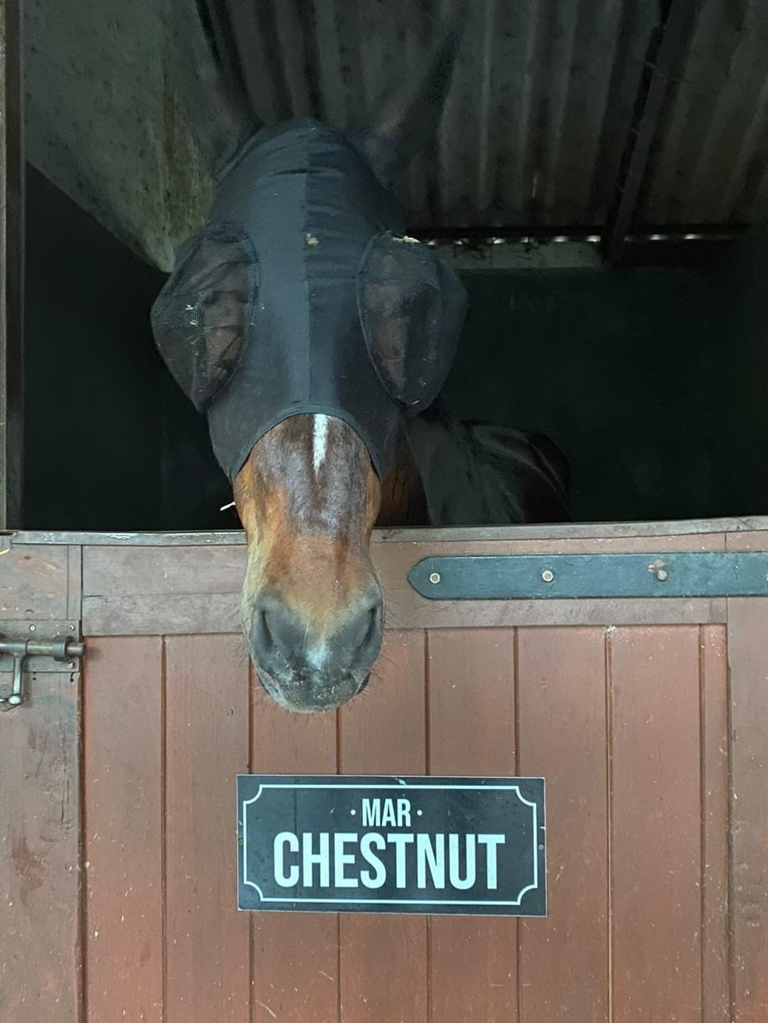 Carteles para box - imagen 53