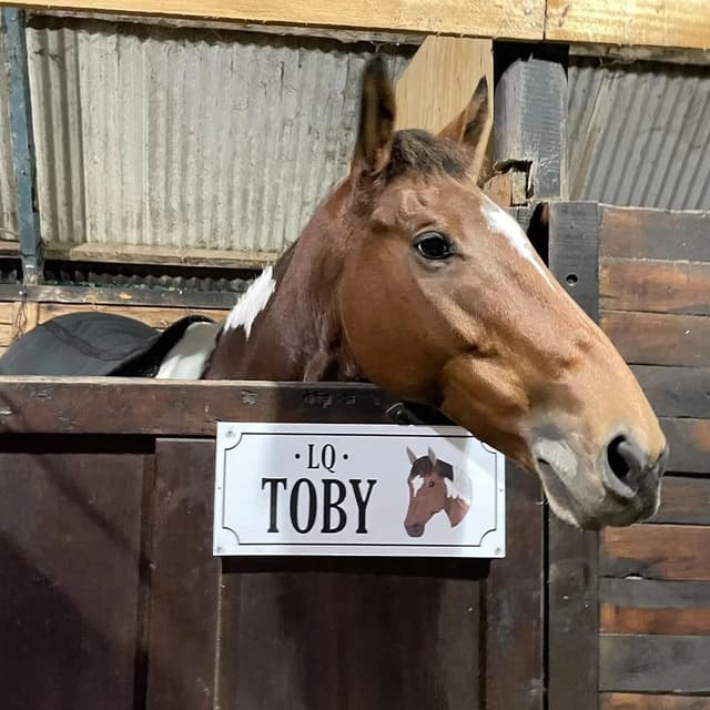 Imagen de la galería n° 9