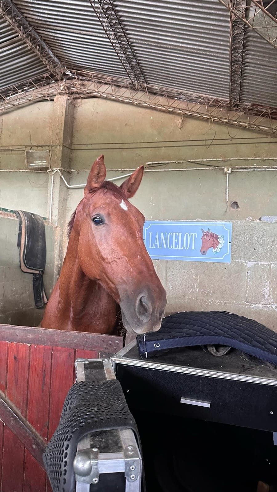 Carteles para box - imagen 54