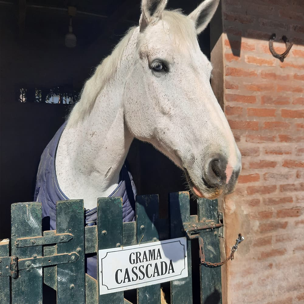 Carteles para box - imagen 37