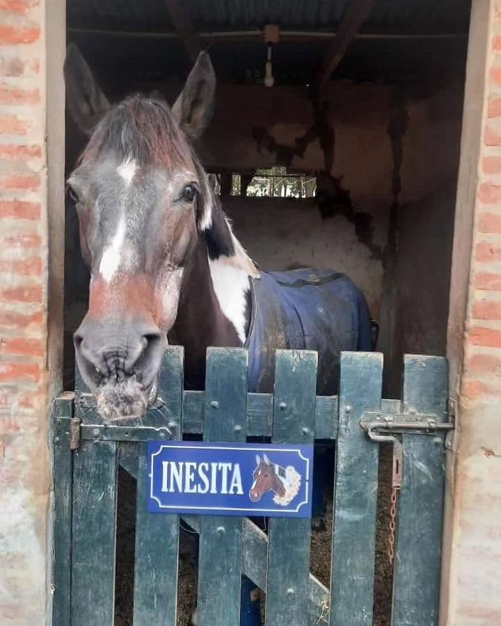 Carteles para box - imagen 17