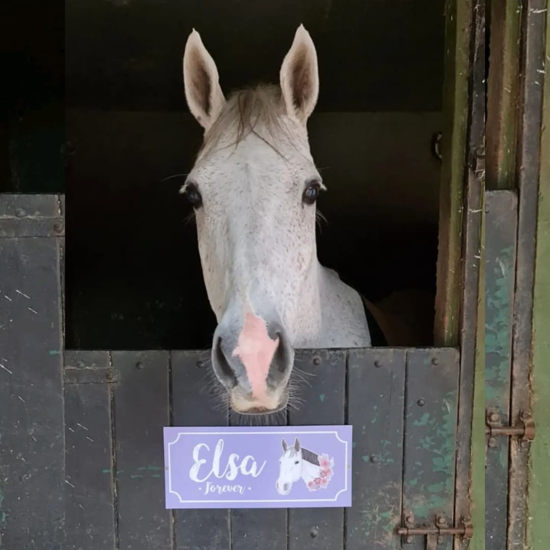 Carteles para box - imagen 12