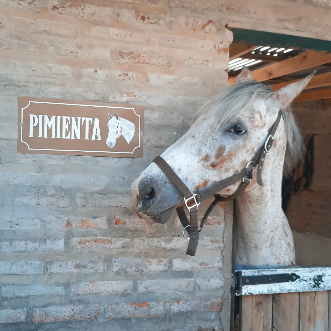 Carteles para box - imagen 46