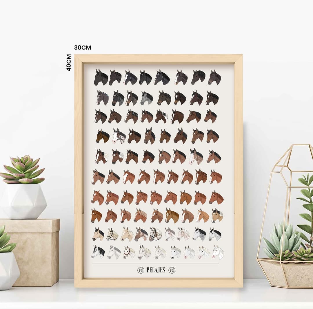 Imagén del producto N° 8