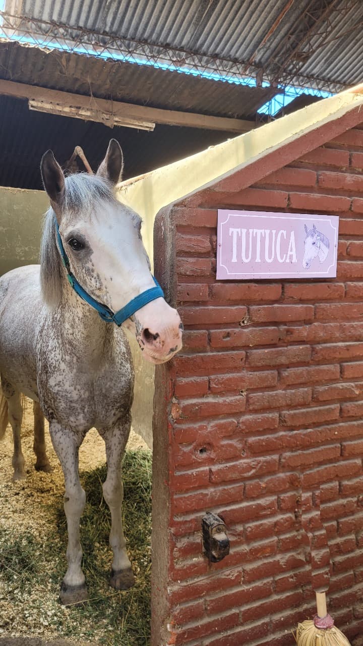 Carteles para box - imagen 52