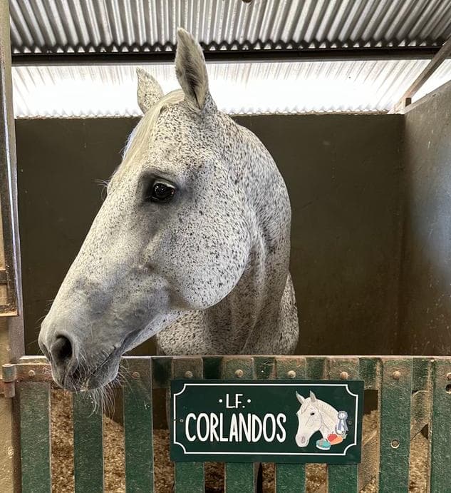 Carteles para box - imagen 43