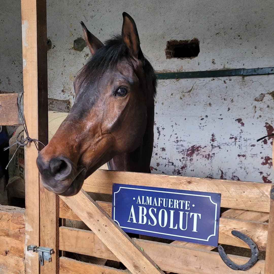 Carteles para box - imagen 18