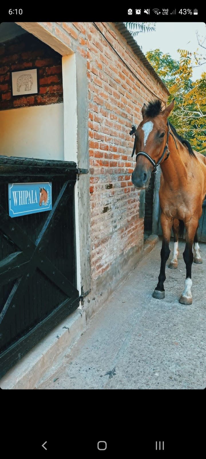 Carteles para box - imagen 50