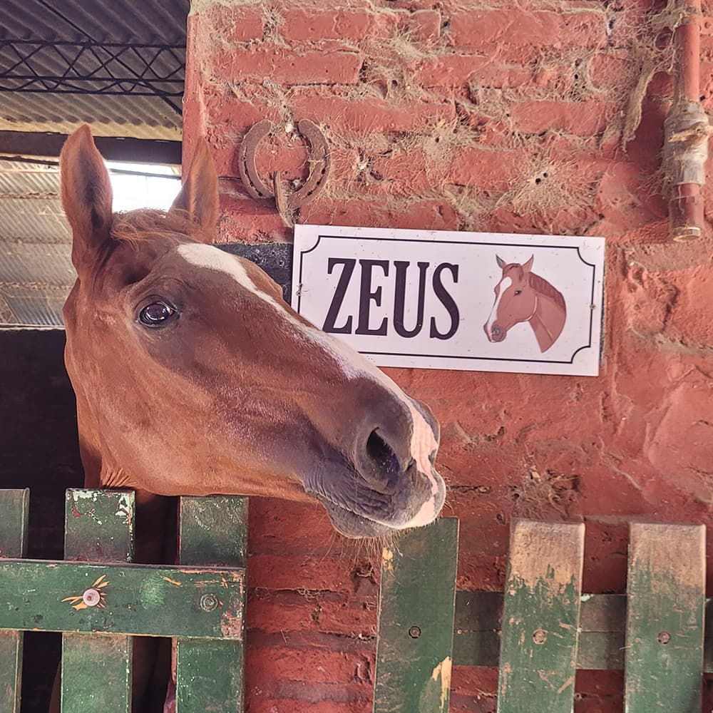 Carteles para box - imagen 40