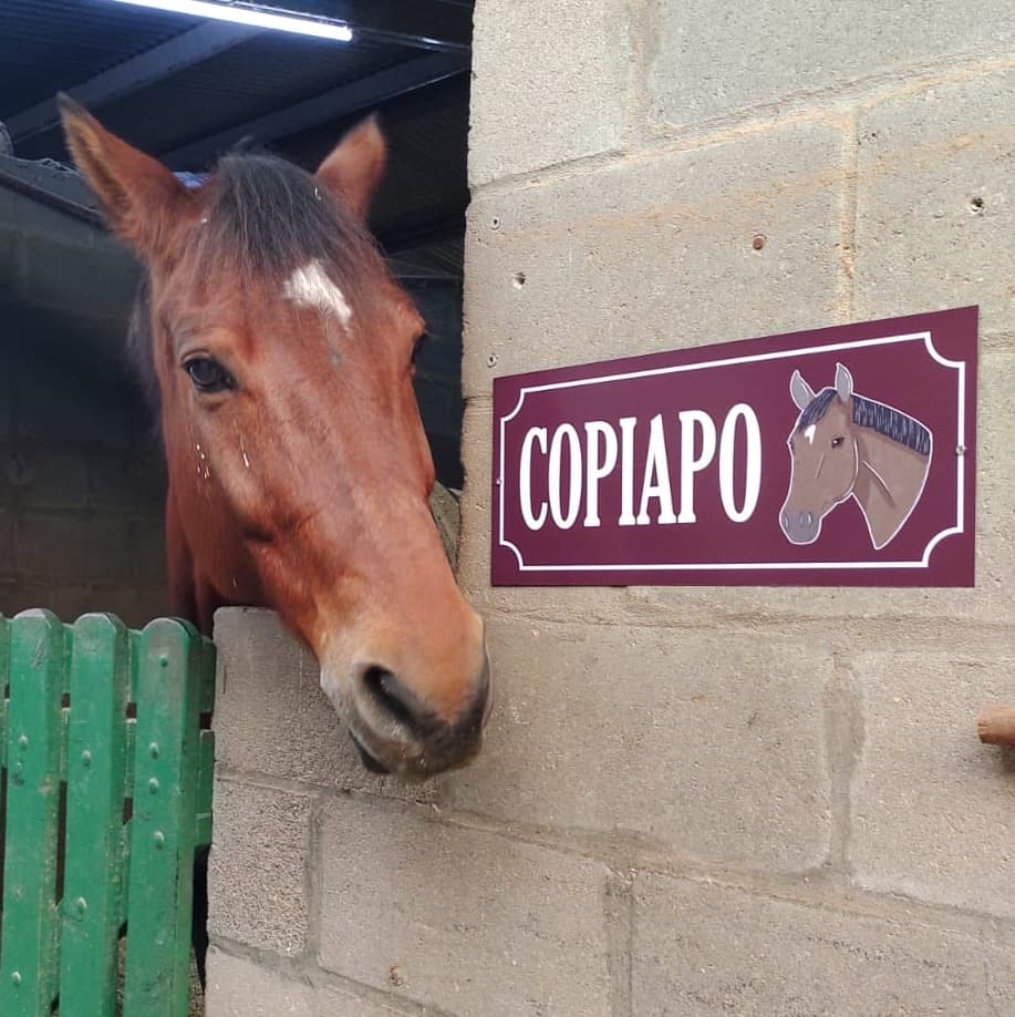 Carteles para box - imagen 48