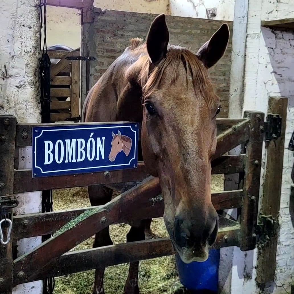 Carteles para box - imagen 26