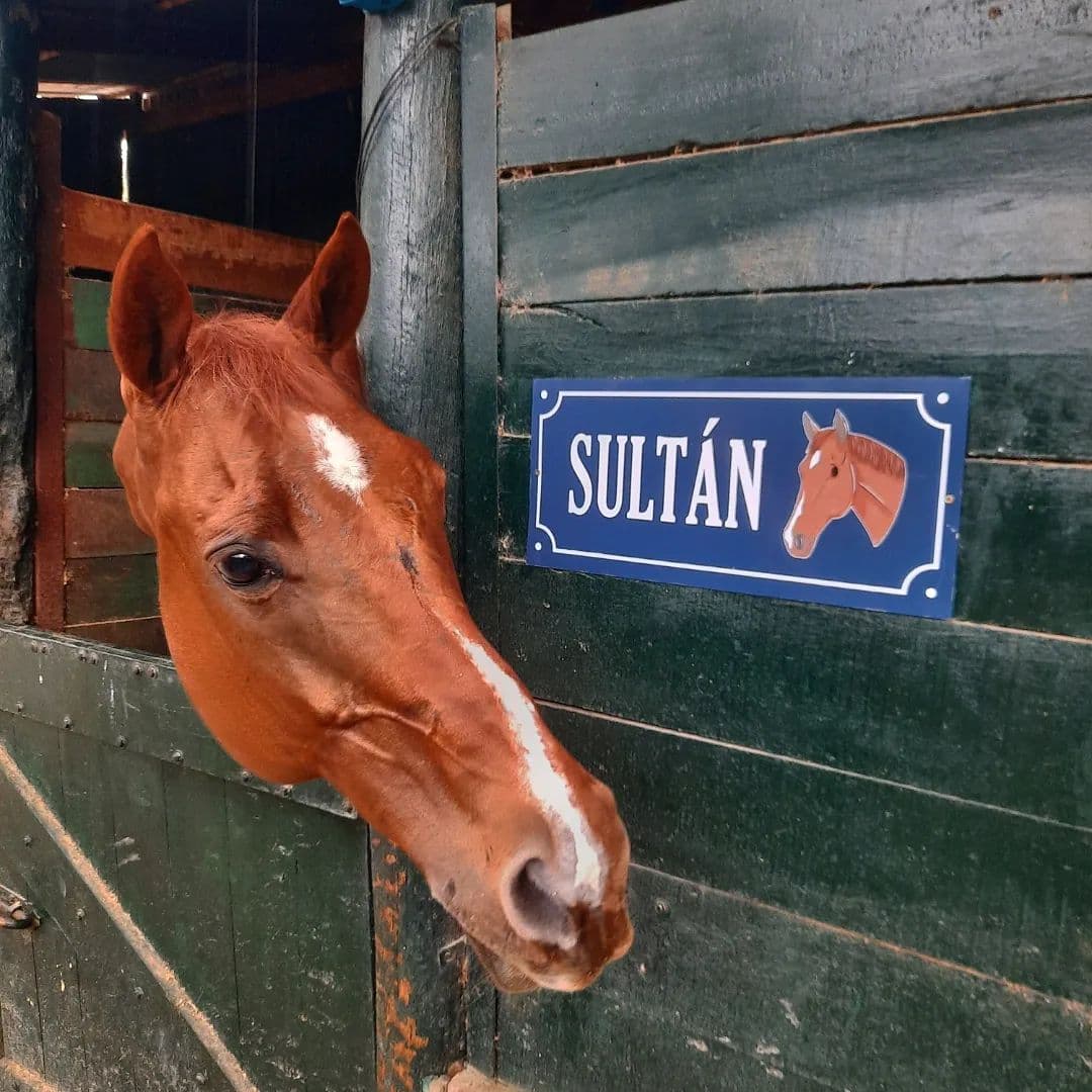 Carteles para box - imagen 5