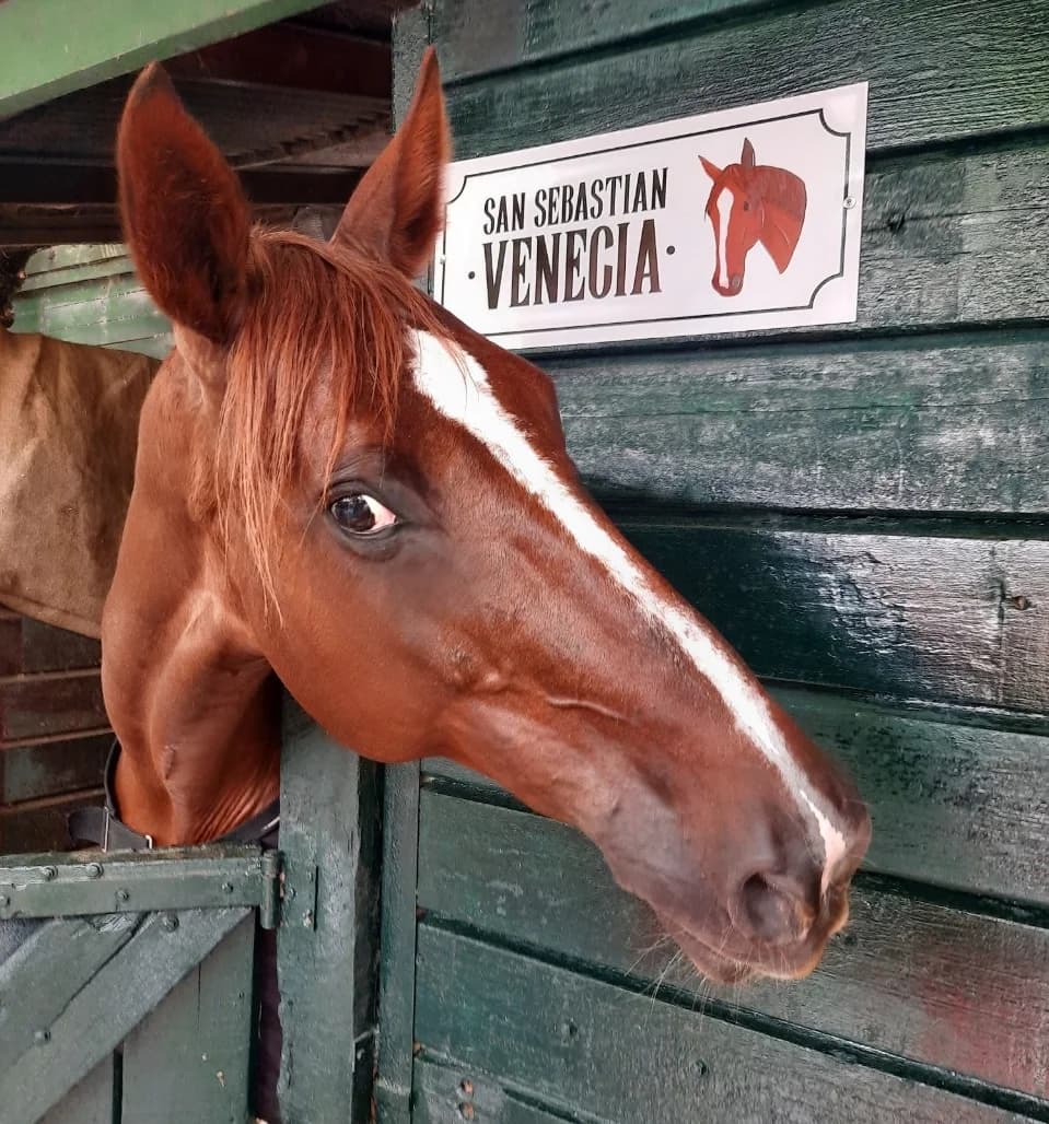 Carteles para box - imagen 47