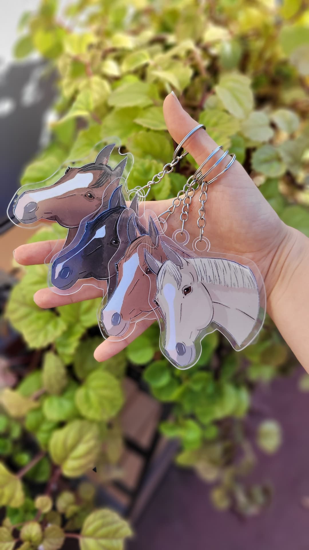 Imagén del producto N° 7