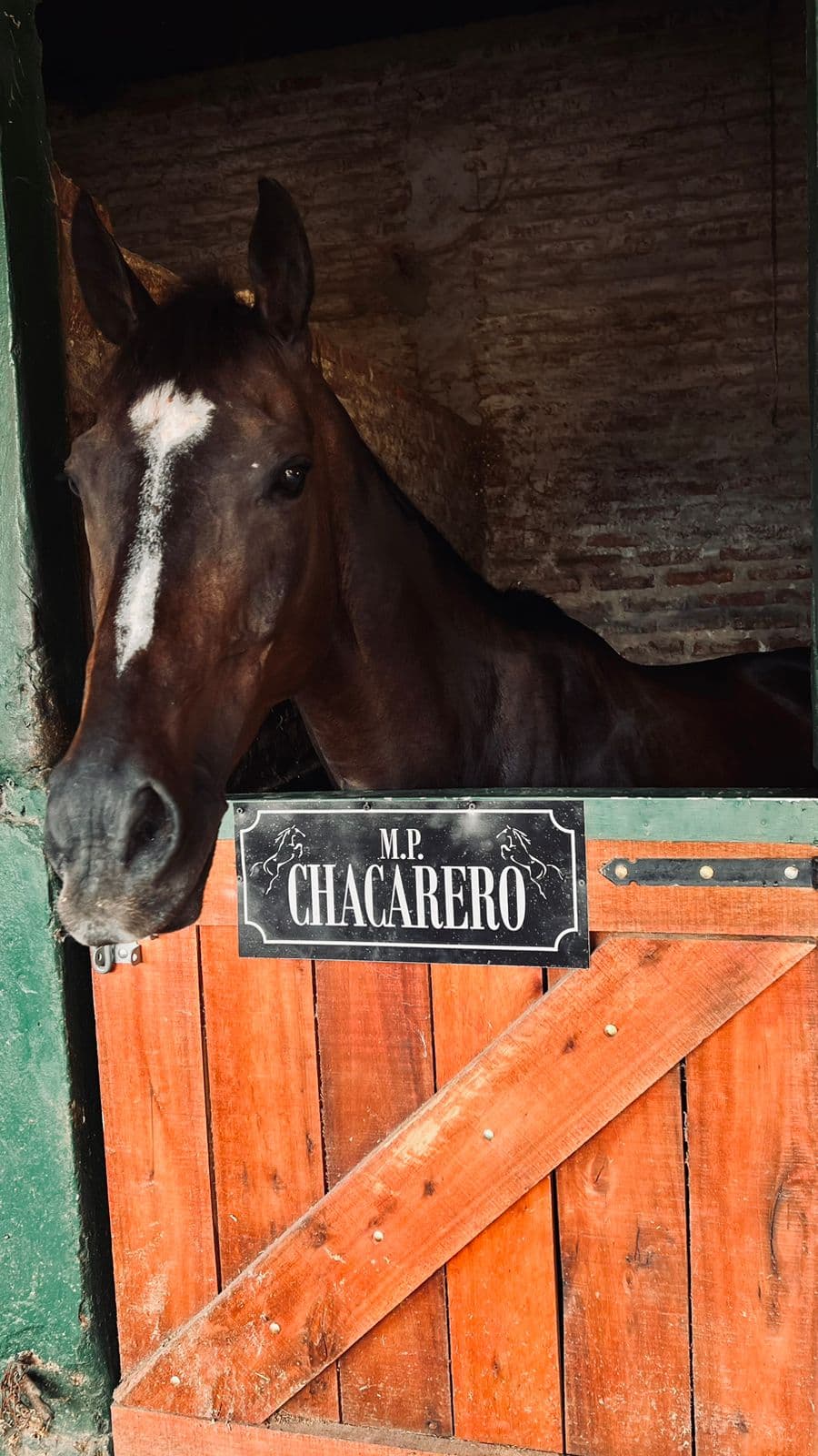 Carteles para box - imagen 51