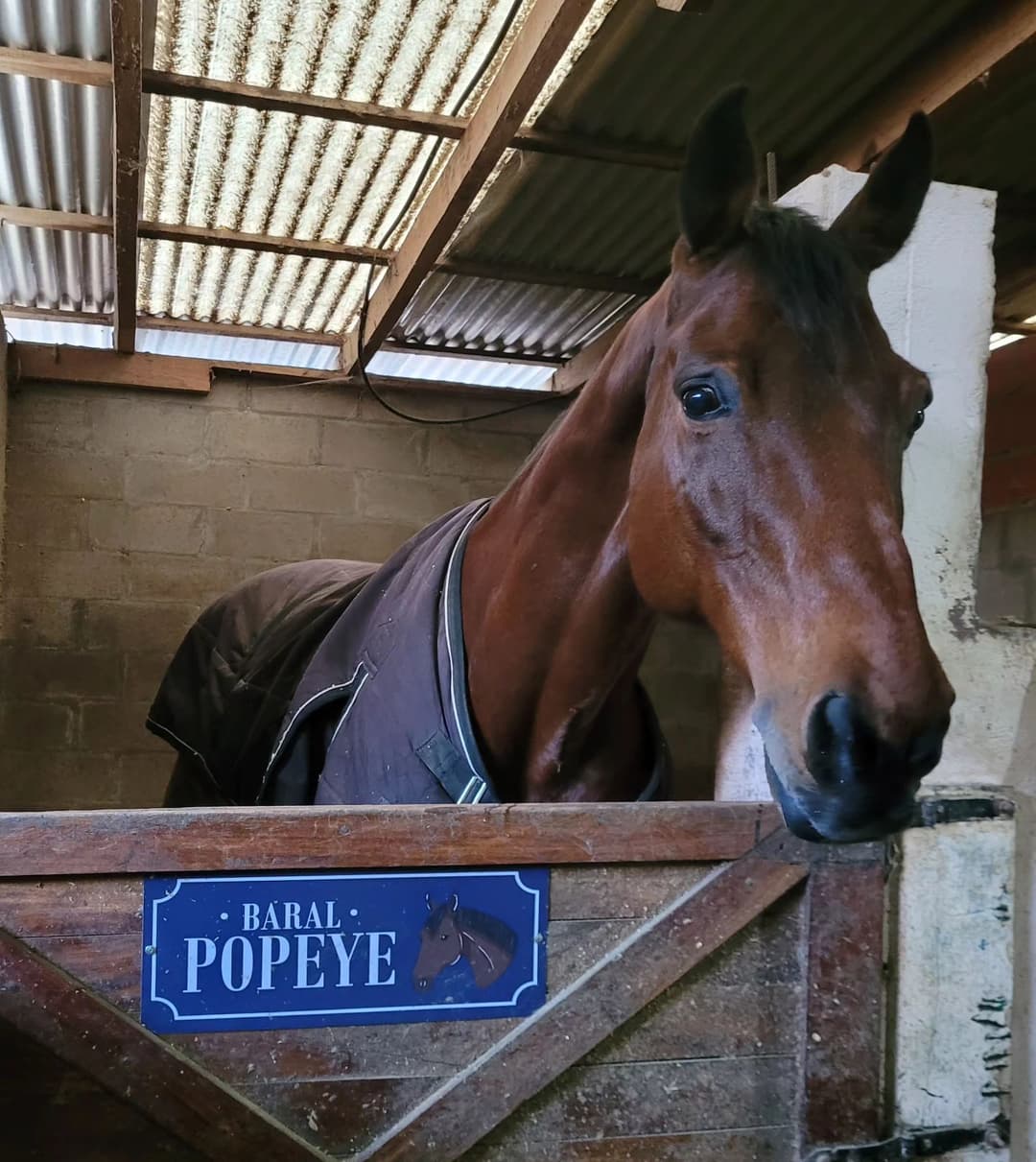 Carteles para box - imagen 20