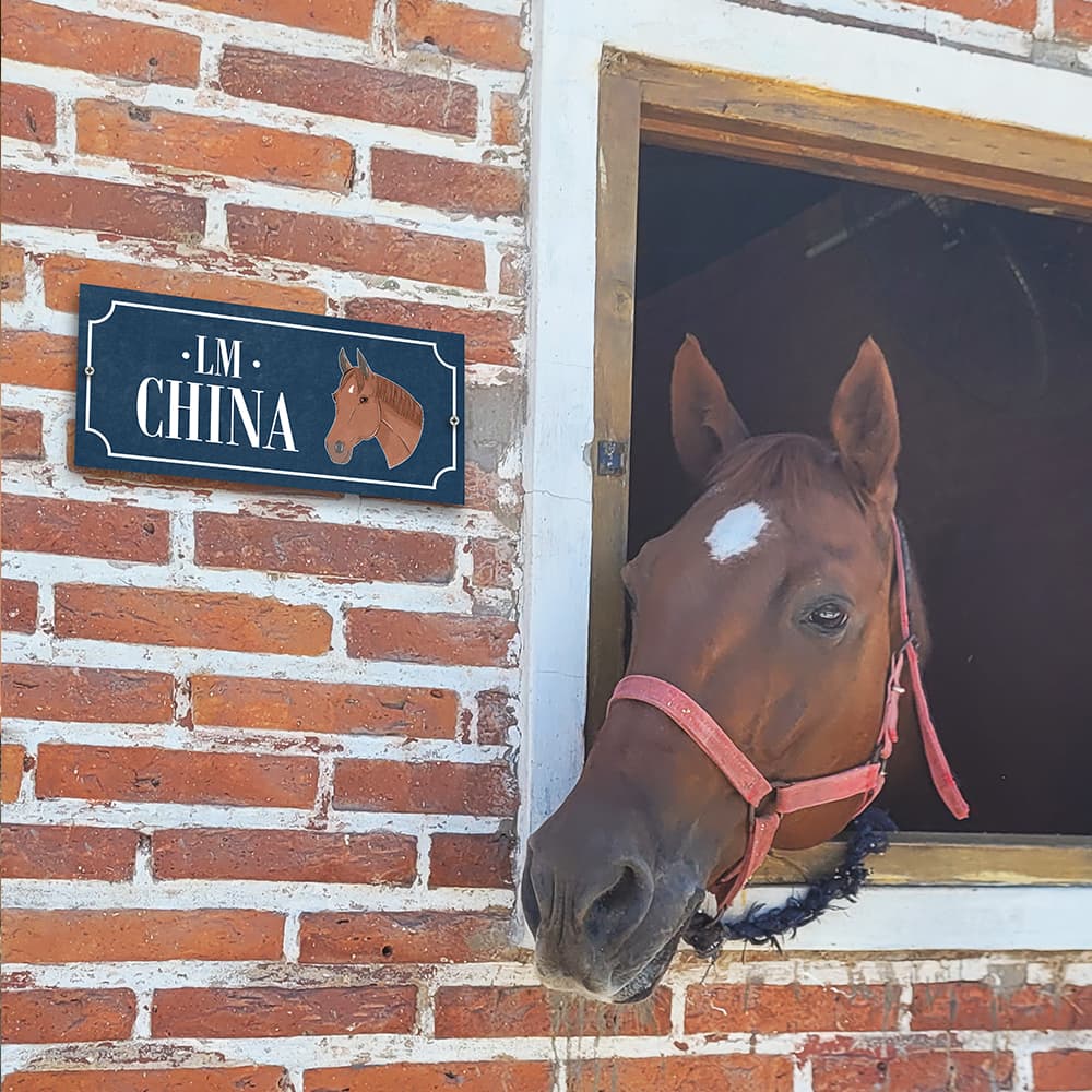 Carteles para box - imagen 36