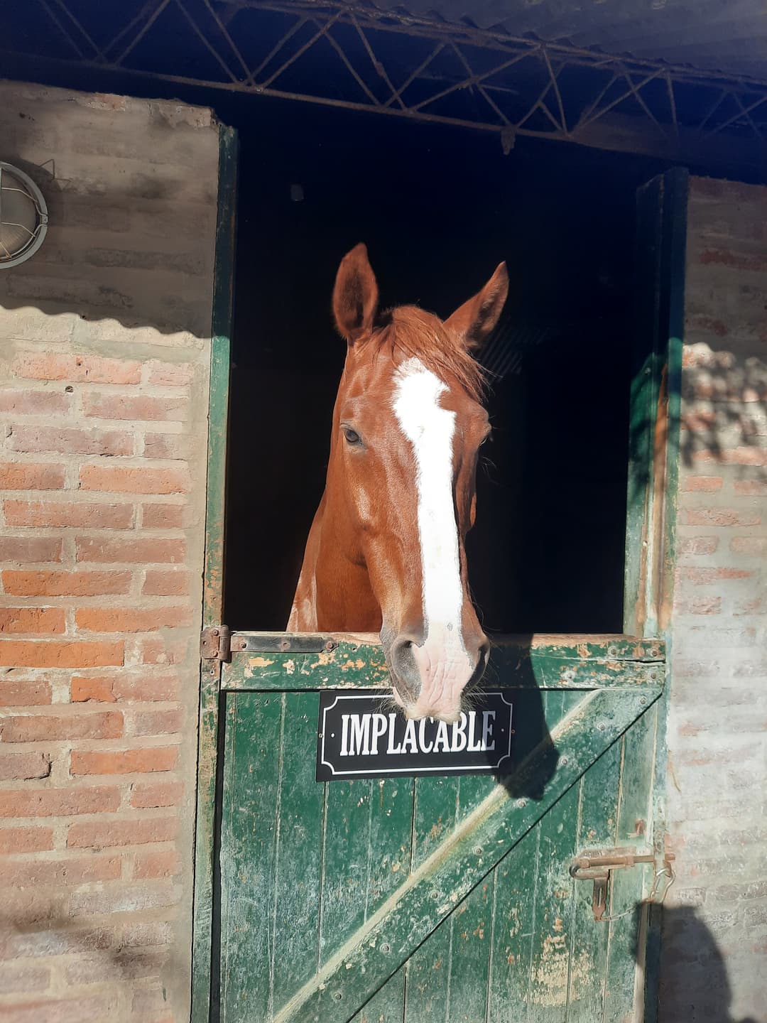 Carteles para box - imagen 2