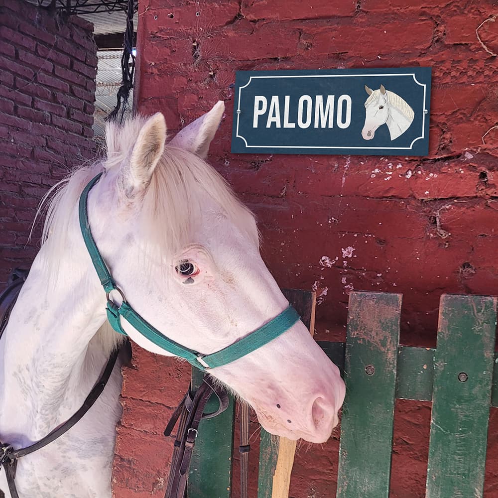 Carteles para box - imagen 41